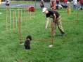 /album/fotogalerie-agility-u-nas/bila08-225-jpg1/